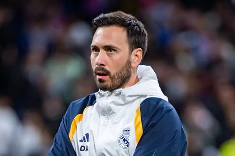 ديفيد أنشيلوتي